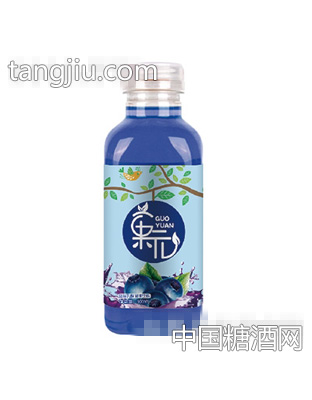 菓元蓝莓乳酸菌味饮料瓶500ml