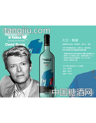 WIT世界系列之大卫·鲍威