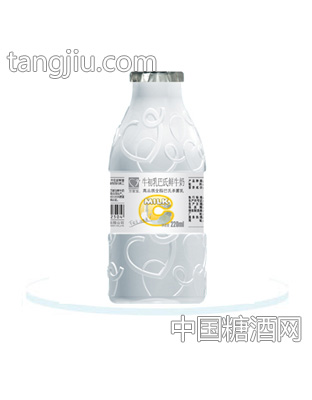 牛初乳巴氏鲜牛奶