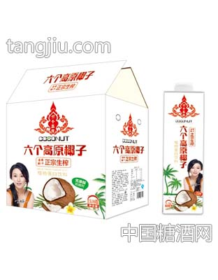 六个高原椰子汁1.5Lx6瓶（方瓶）