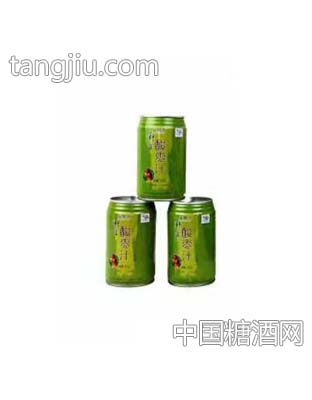 窦豐源酸枣汁310ml