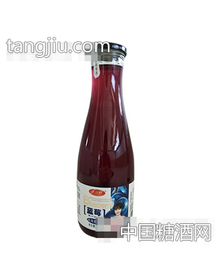 沃尔旺蓝莓果汁饮料1.5L大口瓶