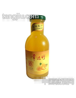 幸运竹苹果醋瓶