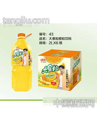 果多多大果粒橙粒饮料2L×6瓶