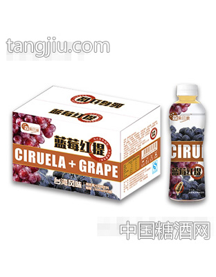 500mlx15瓶森果印象蓝莓红提饮料