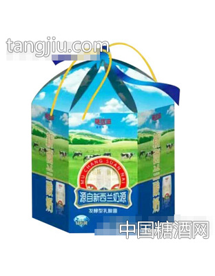 味优滋发酵型乳酸菌2.4L