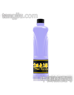 汪之洋500ML矿泉水