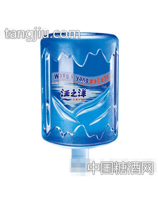 汪之洋珍贵矿泉水