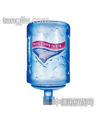汪之洋蒸馏水