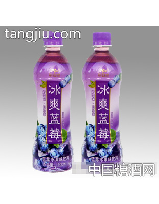 小白兰冰爽蓝莓果汁500ml