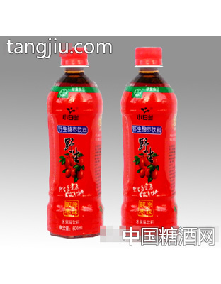 小白兰野生酸枣汁饮料500ml