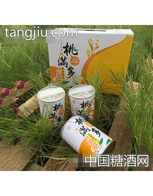 多国桃满多黄桃罐头