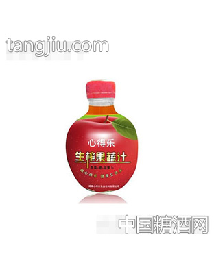 心得乐生榨果蔬汁300ML（红）