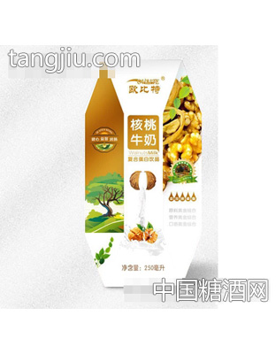 欧比特核桃牛奶复合蛋白饮品