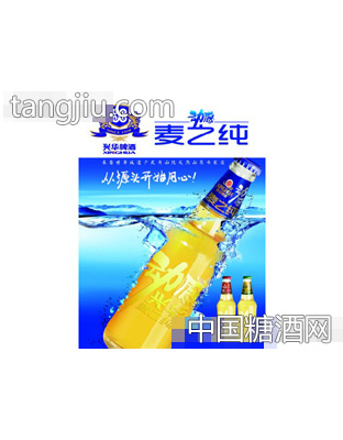 动感兴华麦之纯