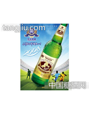兴华2008