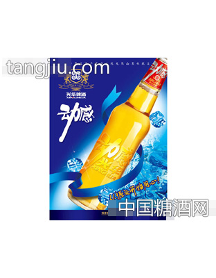 动感兴华