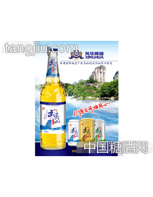 武夷山冰纯