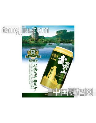 武夷山墨绿易拉罐