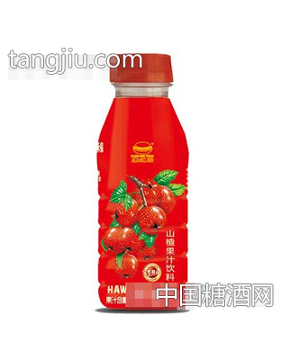 康汇园山楂汁饮料380ml