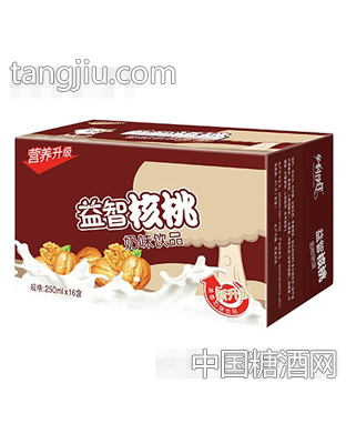 乡村伙伴核桃奶味饮品250mlx16盒