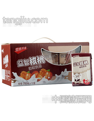 乡村伙伴核桃奶味饮品250mlx12盒
