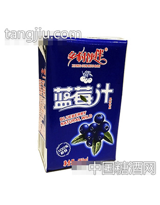 乡村伙伴蓝莓汁250ml