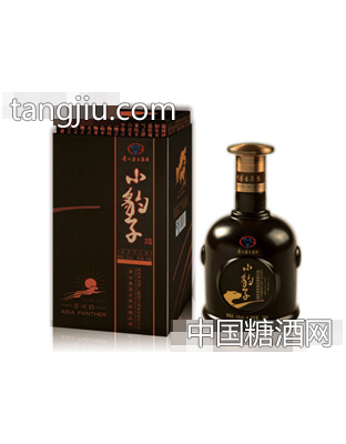 亚洲豹