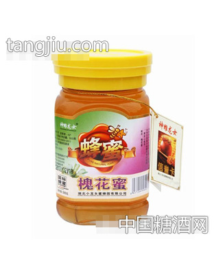 神雕龙女槐花蜜（500g)