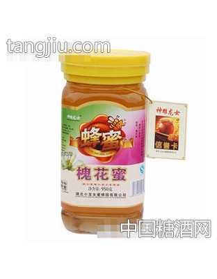 神雕龙女槐花蜜(950g)