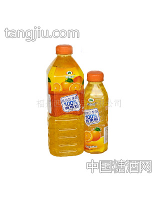 柑桔粒饮料500g