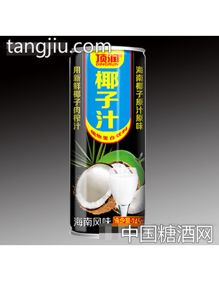 245ml顶润椰子汁植物蛋白饮料