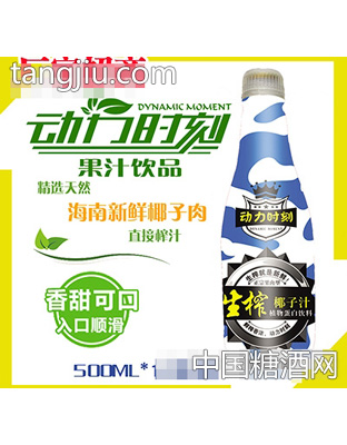500ML动力时刻椰子汁饮料