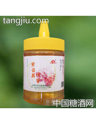 鑫春紫云英蜂蜜(500克)