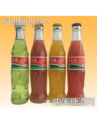 闪亮e族果汁248ml
