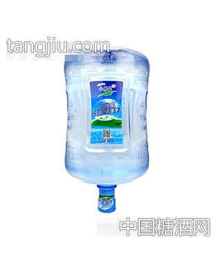 心怡泉纯净水18L