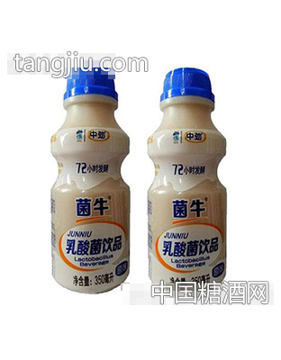 中劲菌牛乳酸菌饮品350ml