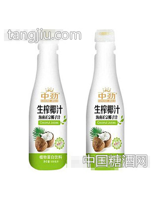 中劲生榨椰汁海南正宗椰子汁植物蛋白饮料500ml