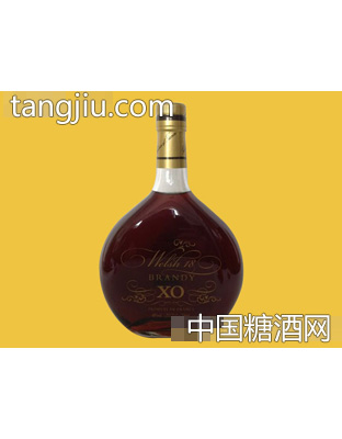 威尔士18白兰地XO