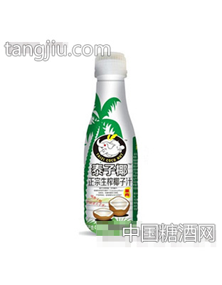 500ml生榨椰子汁