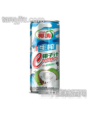 245ml椰涛生榨椰子汁