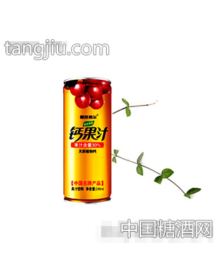 钙果汁饮料