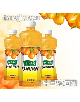 450mL沙棘汁饮料厦普赛尔