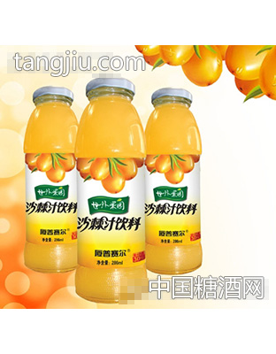286mL沙棘汁饮料厦普赛尔