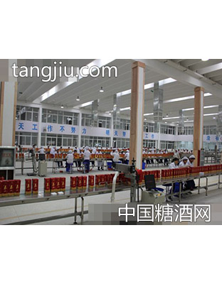 车间实景