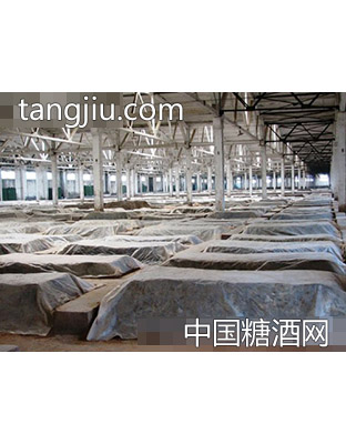 “小窖”纯粮酿造车间