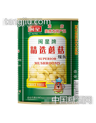 闽星精选蘑菇400g