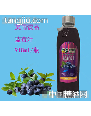 昊雨918ml蓝莓汁