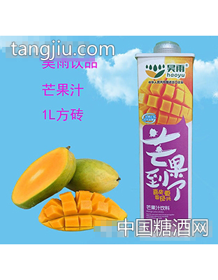 昊雨1L芒果汁方砖