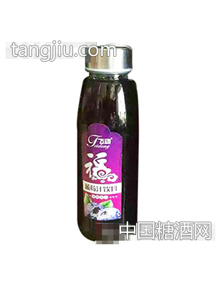 飞动蓝莓汁饮料450ml